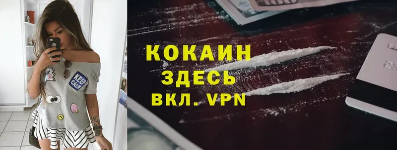 дарнет шоп  hydra как зайти  COCAIN Эквадор  Бузулук 